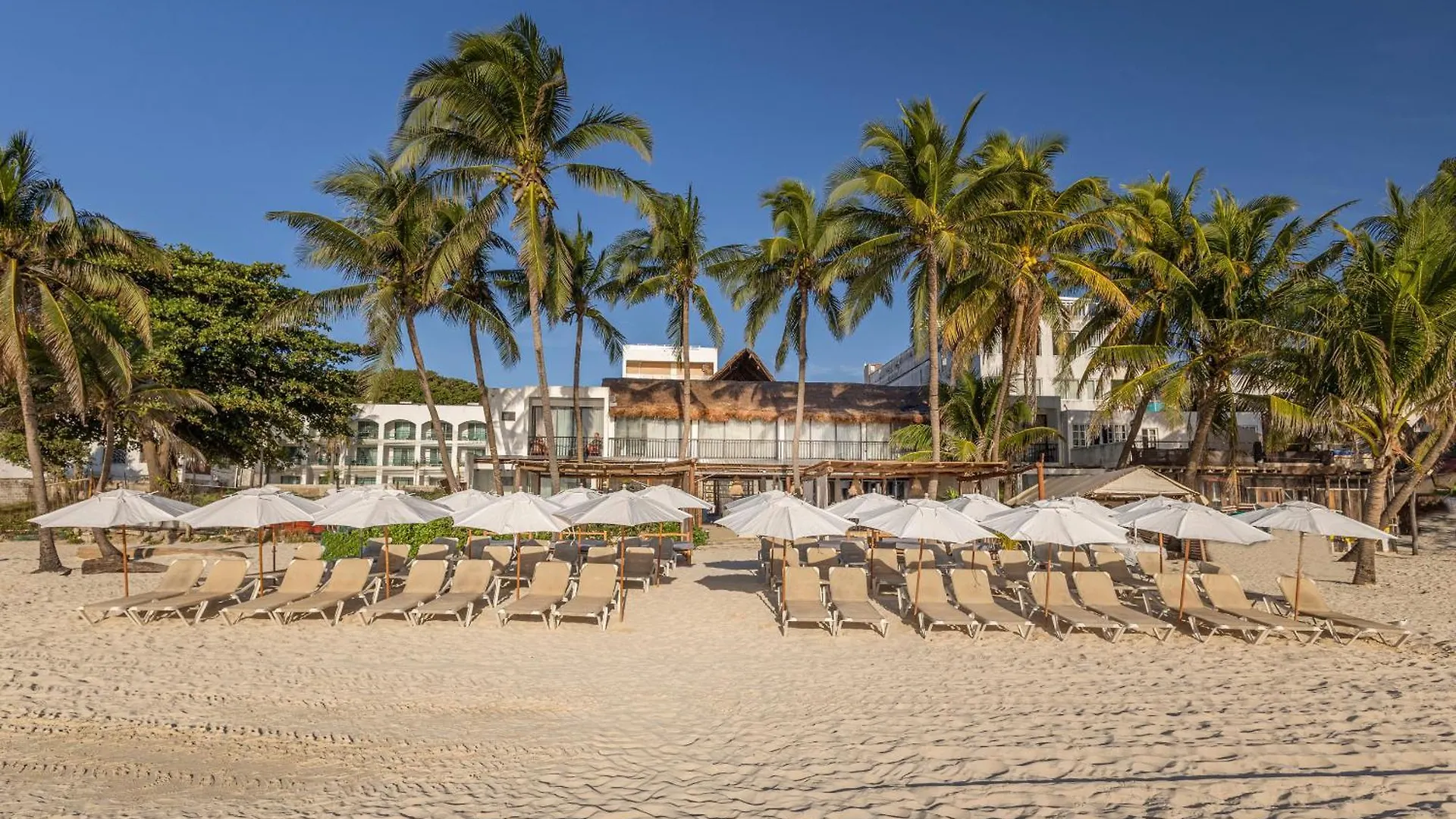 הקונטקטים של Areia Playa Del Carmen - Beach Front Hotel