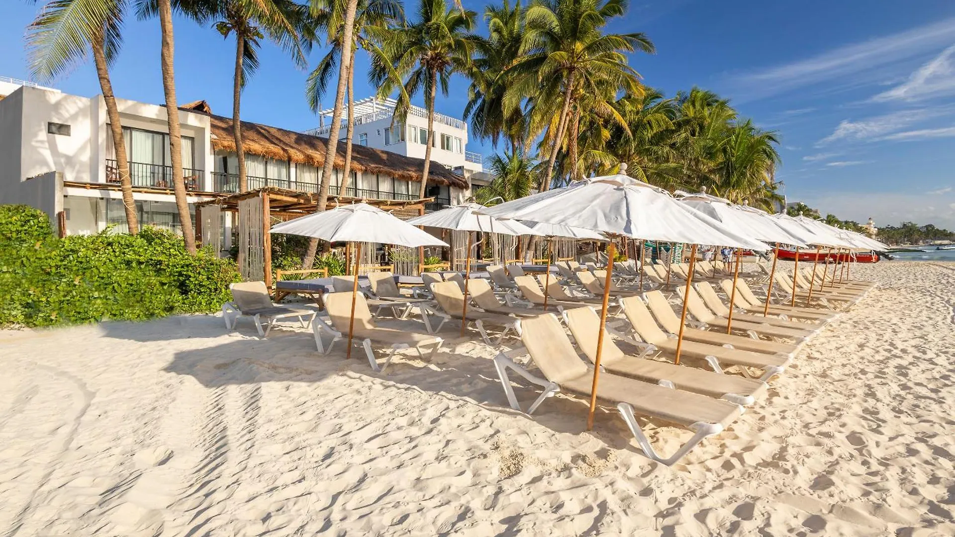 Areia Playa Del Carmen - Beach Front Hotel 0*,  メキシコ