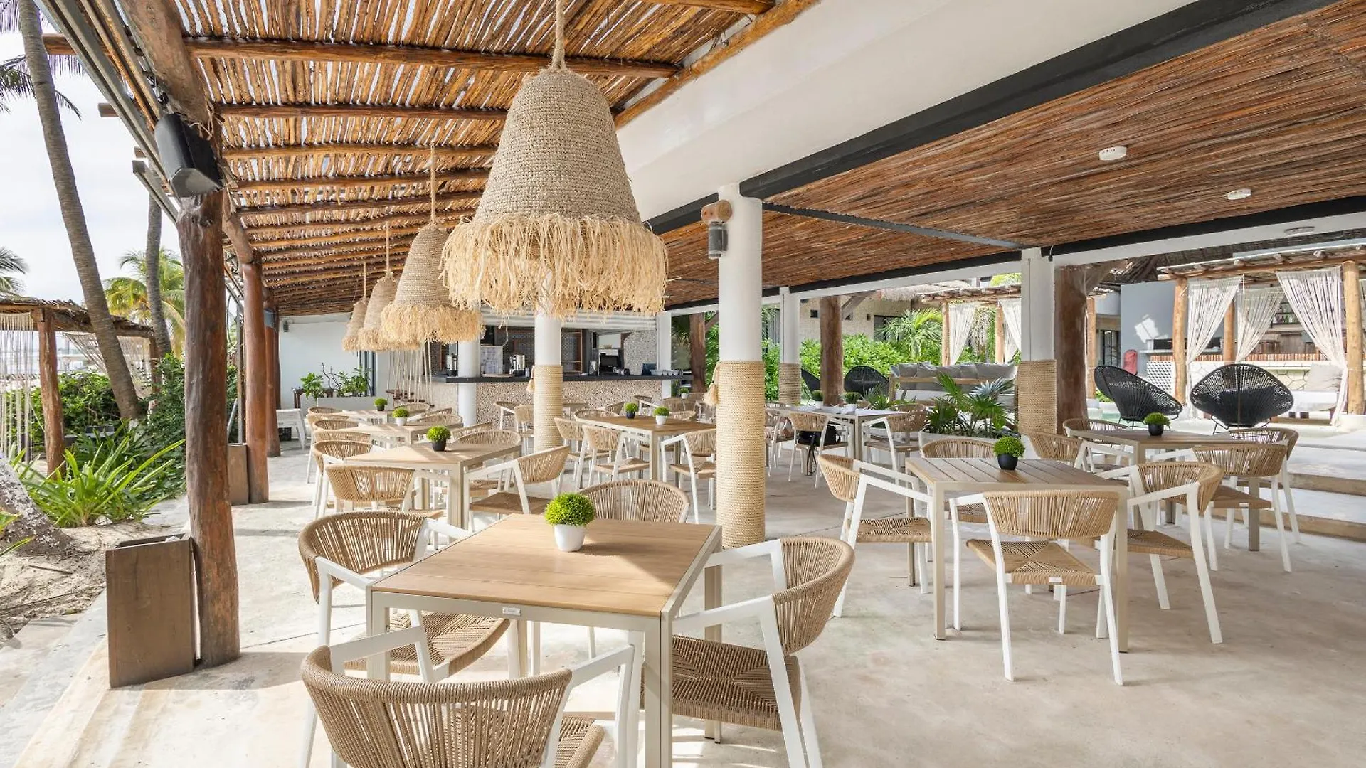 Lodge Areia Playa Del Carmen - Beach Front Hotel Mexico